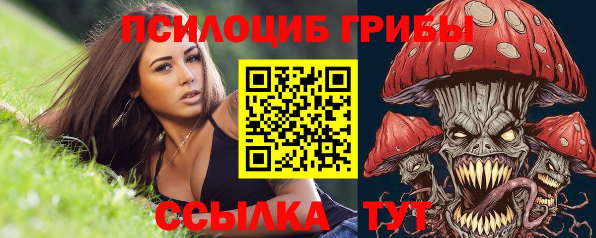 Конаково  Галлюциногенные грибы Magic Shrooms  Вход с VPN 