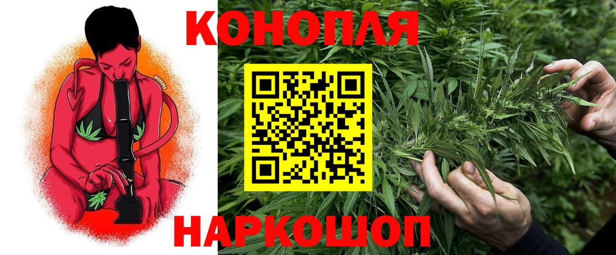 Бошки Шишки план  Шишки марихуана планчик  Каннабис индика  МАРИХУАНА Amnesia  Конаково  Вход с VPN 
